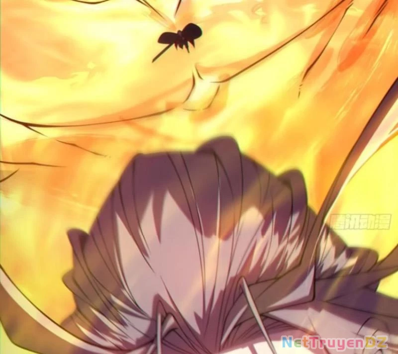 Đồ Đệ Của Ta Đều Là Đại Phản Phái Chapter 322 - Trang 4