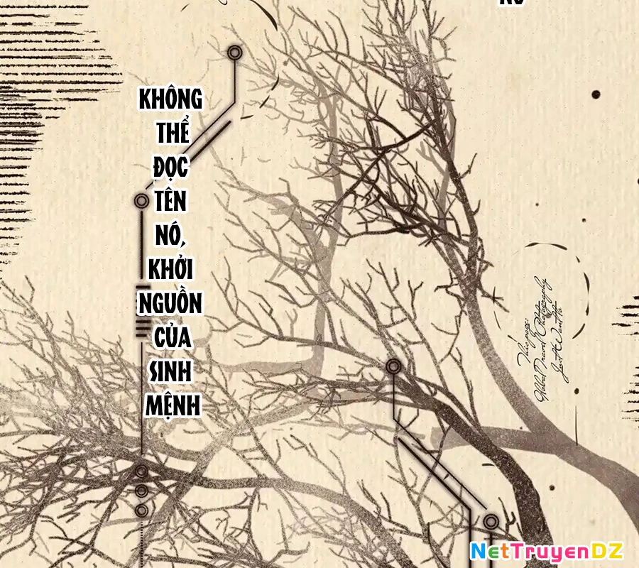 Vượt Cấp Xuyên Không, Tại Sao Tôi Lại Trở Thành Tiểu Thư Tu Sĩ? Chapter 6 - Trang 3