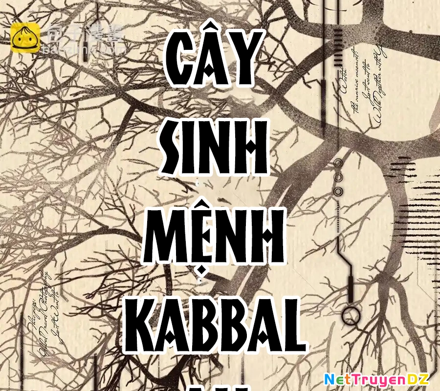 Vượt Cấp Xuyên Không, Tại Sao Tôi Lại Trở Thành Tiểu Thư Tu Sĩ? Chapter 6 - Trang 3