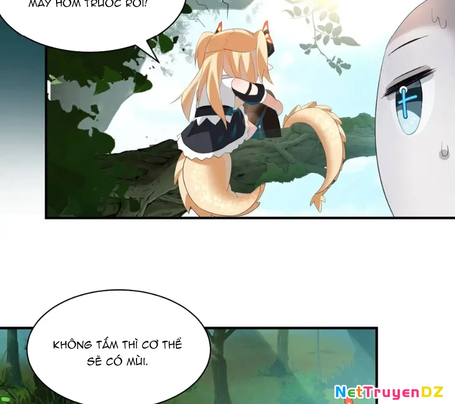 Vượt Cấp Xuyên Không, Tại Sao Tôi Lại Trở Thành Tiểu Thư Tu Sĩ? Chapter 11 - Trang 3