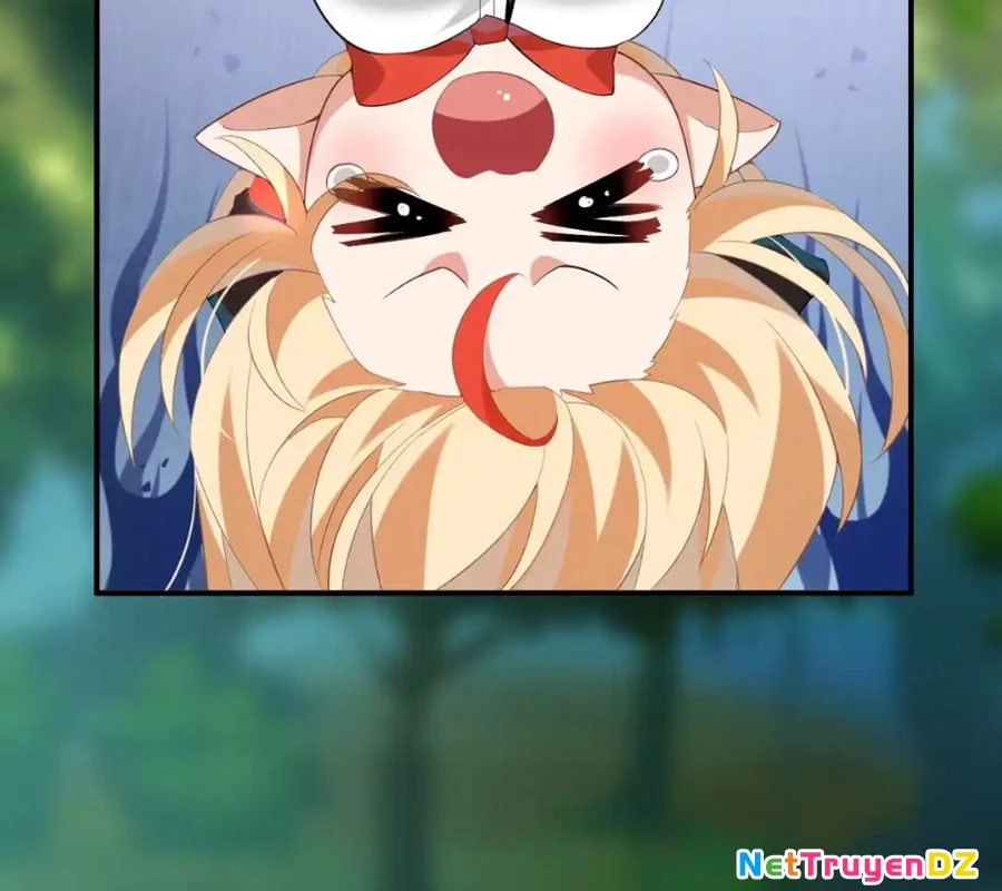 Vượt Cấp Xuyên Không, Tại Sao Tôi Lại Trở Thành Tiểu Thư Tu Sĩ? Chapter 11 - Trang 3