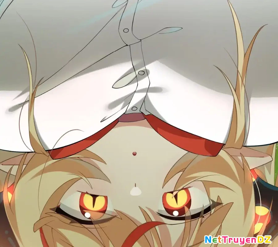 Vượt Cấp Xuyên Không, Tại Sao Tôi Lại Trở Thành Tiểu Thư Tu Sĩ? Chapter 11 - Trang 3