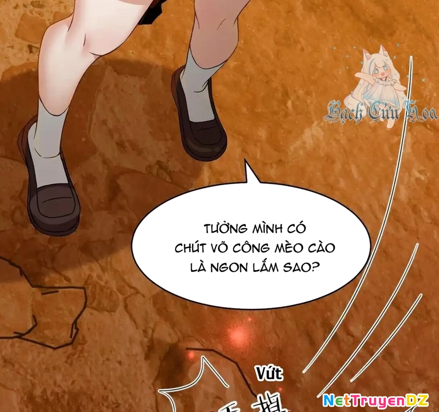 Vượt Cấp Xuyên Không, Tại Sao Tôi Lại Trở Thành Tiểu Thư Tu Sĩ? Chapter 14 - Trang 3