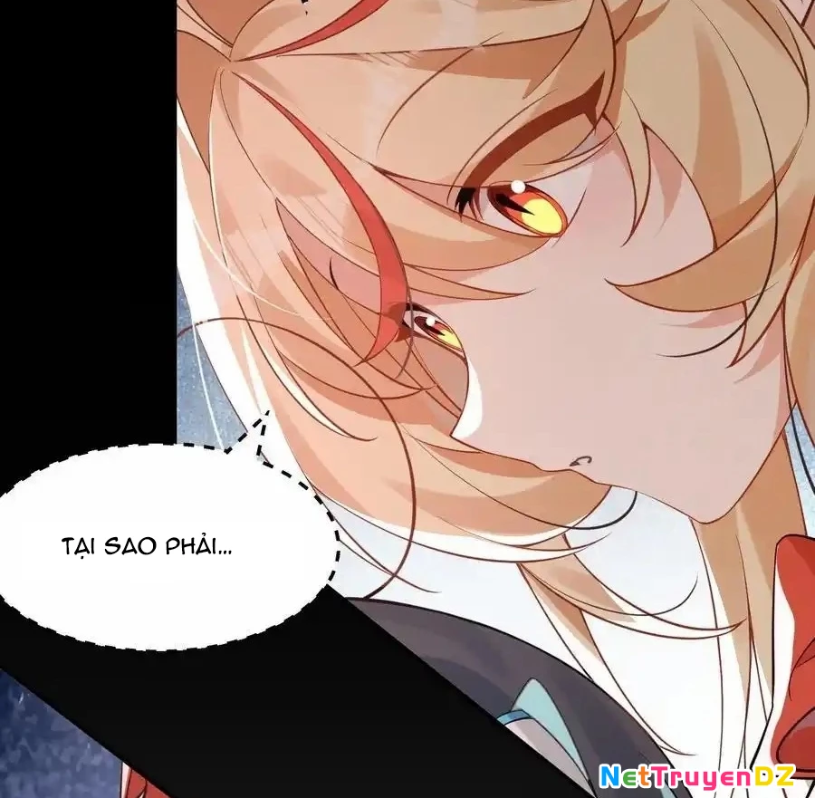 Vượt Cấp Xuyên Không, Tại Sao Tôi Lại Trở Thành Tiểu Thư Tu Sĩ? Chapter 16 - Trang 3
