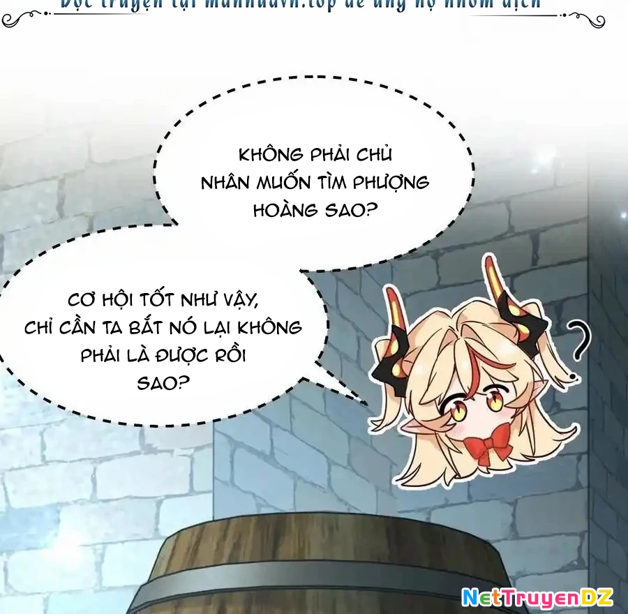 Vượt Cấp Xuyên Không, Tại Sao Tôi Lại Trở Thành Tiểu Thư Tu Sĩ? Chapter 16 - Trang 3