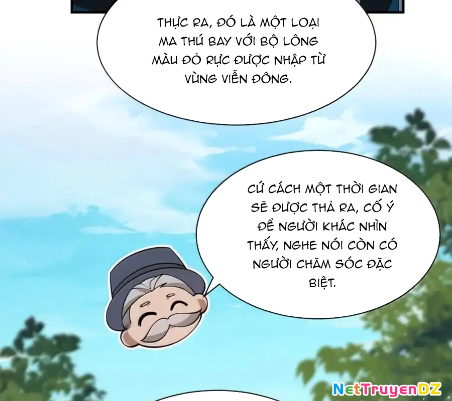 Vượt Cấp Xuyên Không, Tại Sao Tôi Lại Trở Thành Tiểu Thư Tu Sĩ? Chapter 17 - Trang 3