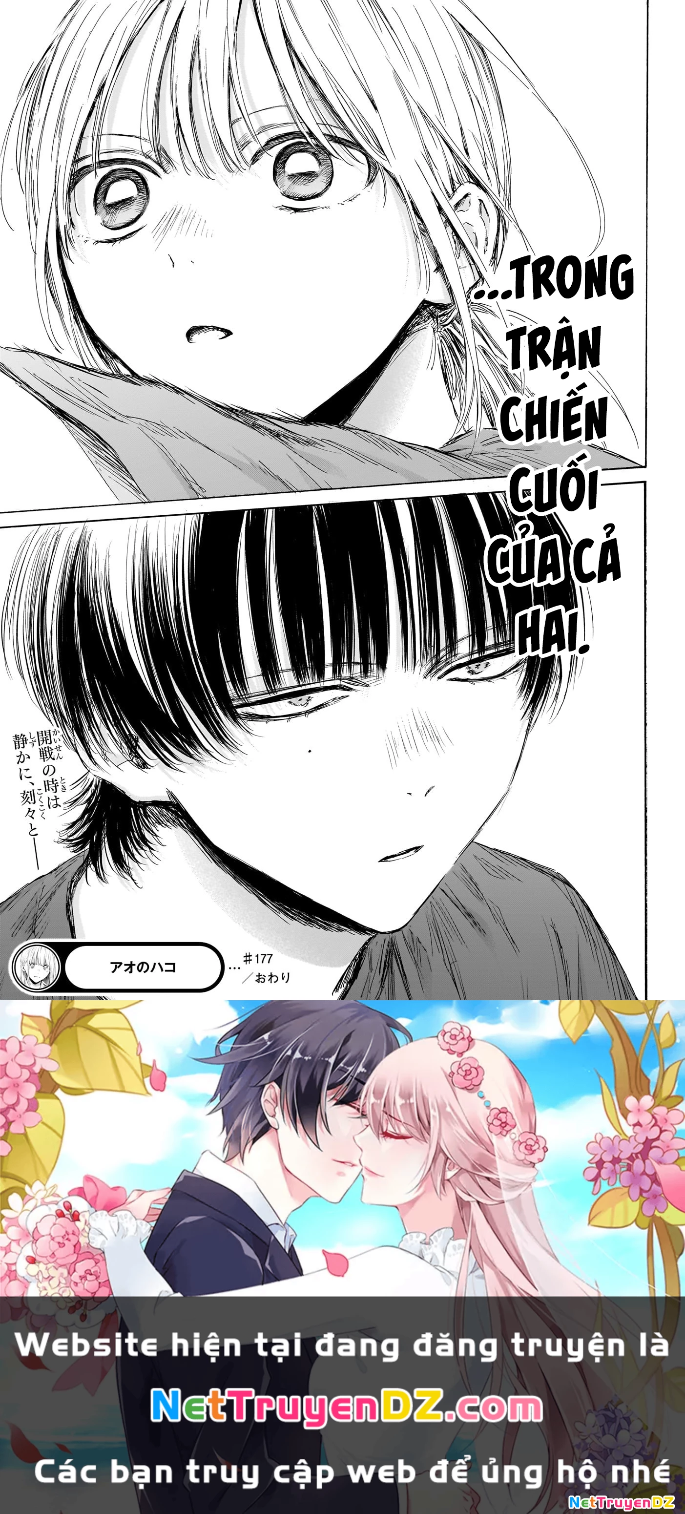 Blue Box Chapter 177 - Next Chapter 178
