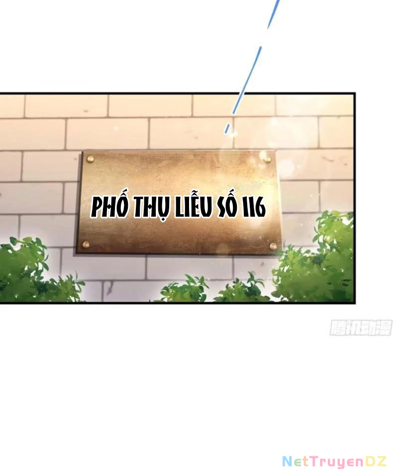 Ảo Ma! Ta Mở Lớp Huấn Luyện Nữ Đế! Chapter 35 - Trang 3