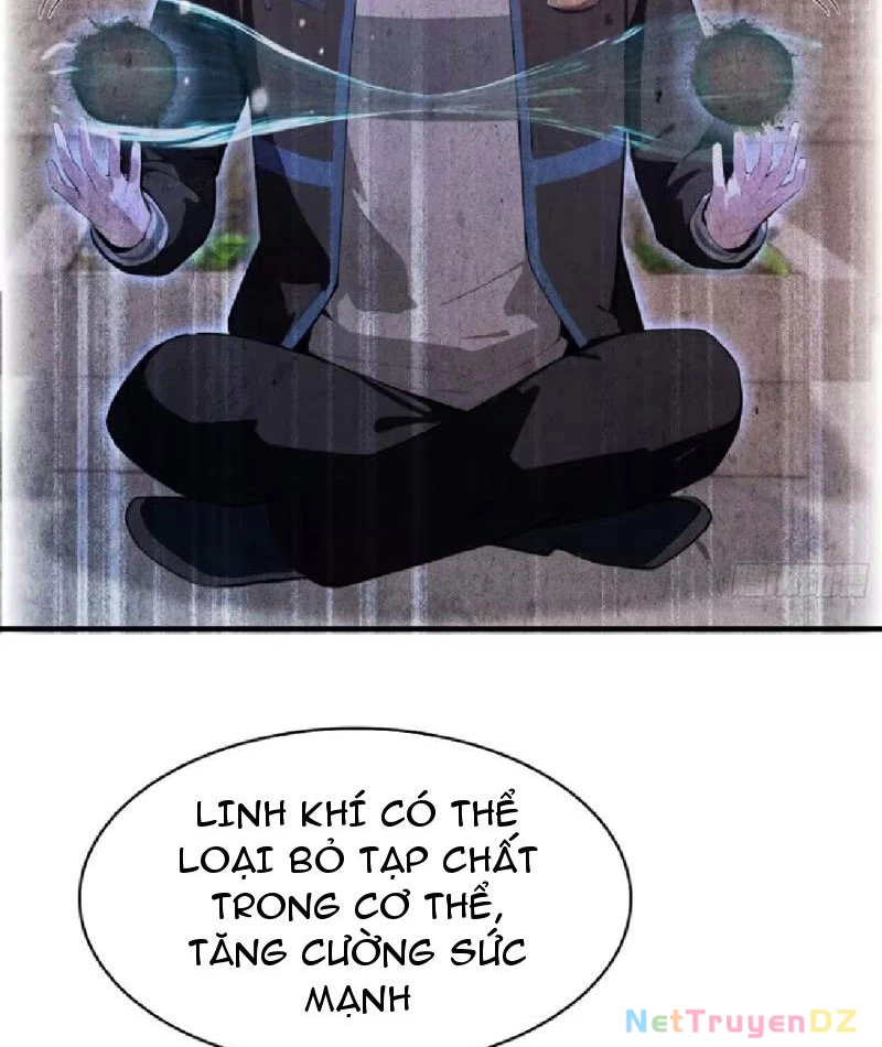 Ảo Ma! Ta Mở Lớp Huấn Luyện Nữ Đế! Chapter 50 - Trang 3