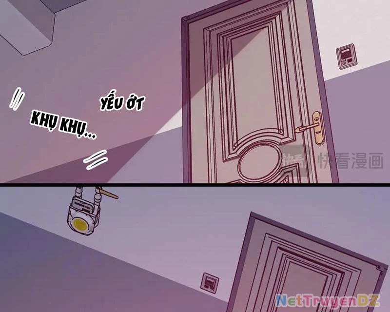 Mạt Nhật Thiên Hạ: Ta, Virus Quân Vương Chapter 29 - Trang 4