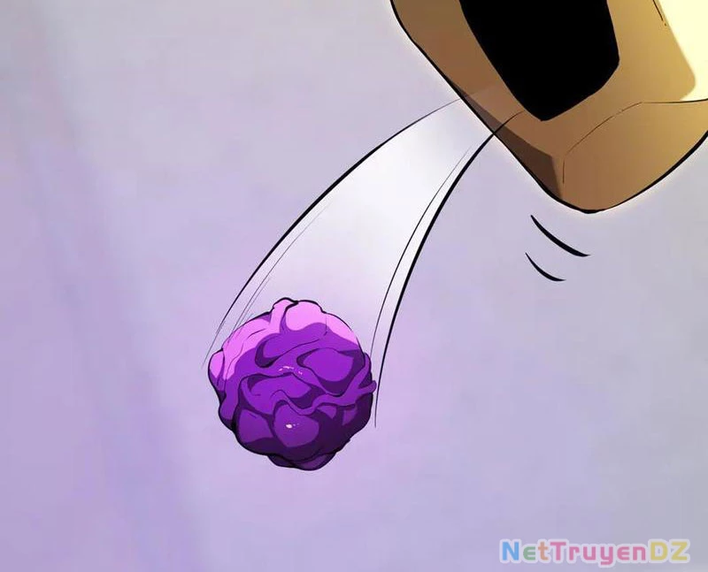 Mạt Nhật Thiên Hạ: Ta, Virus Quân Vương Chapter 30 - Trang 4