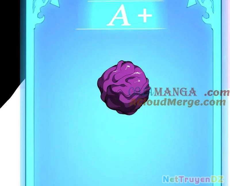 Mạt Nhật Thiên Hạ: Ta, Virus Quân Vương Chapter 30 - Trang 4