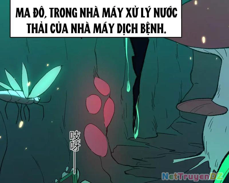 Mạt Nhật Thiên Hạ: Ta, Virus Quân Vương Chapter 40 - Trang 4