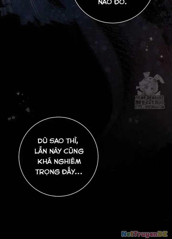 Diễn Viên Thiên Tài Mang Lại Bất Hạnh Chapter 12 - Trang 2