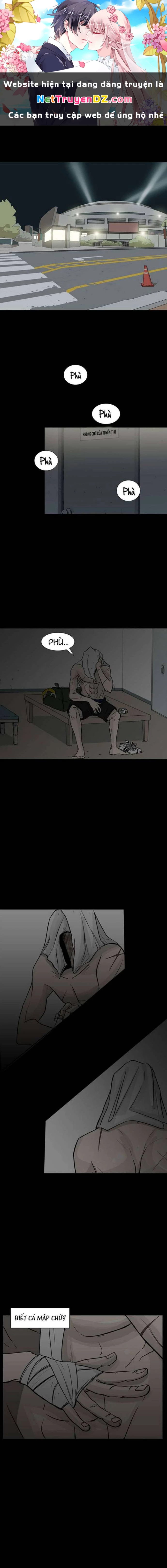 Shark - Cá Mập Chapter 0 - Next Chapter 1