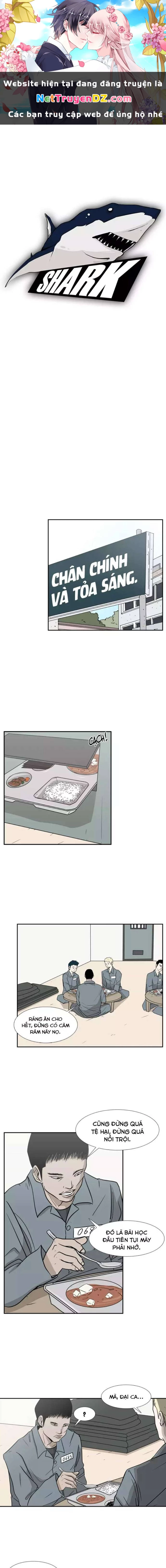 Shark - Cá Mập Chapter 5 - Next Chapter 6