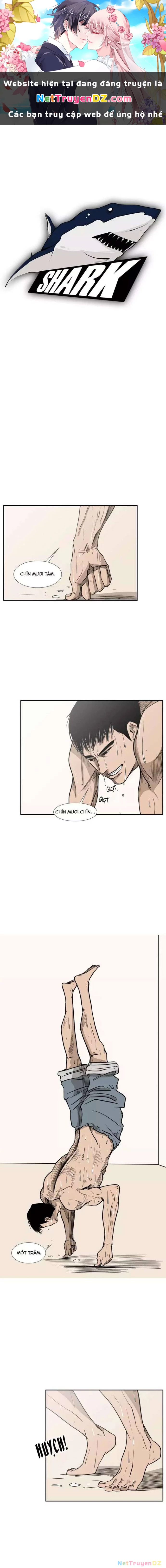 Shark - Cá Mập Chapter 6 - Next Chapter 7
