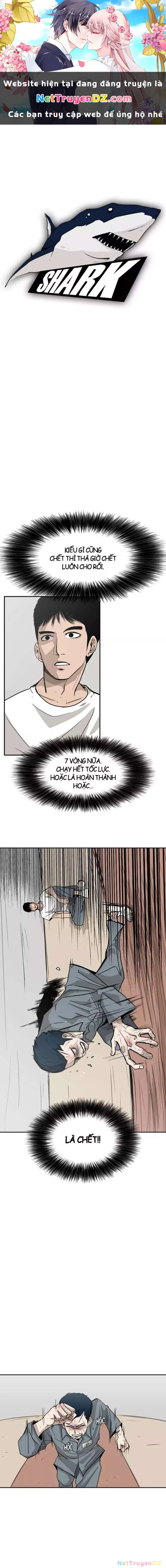 Shark - Cá Mập Chapter 11 - Next Chapter 12