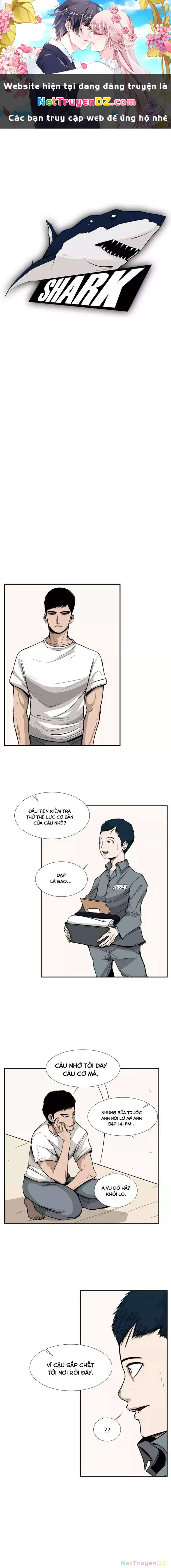 Shark - Cá Mập Chapter 12 - Next Chapter 13