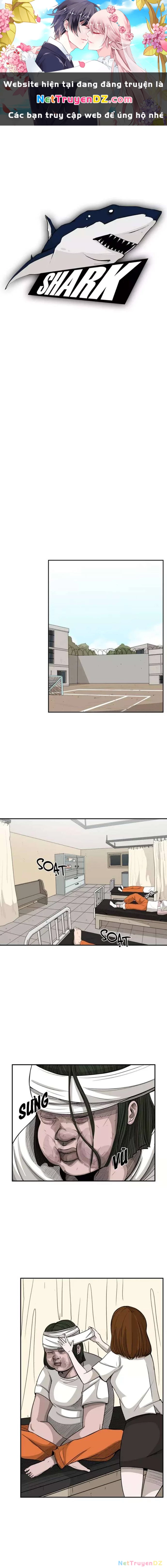 Shark - Cá Mập Chapter 14 - Next Chapter 15