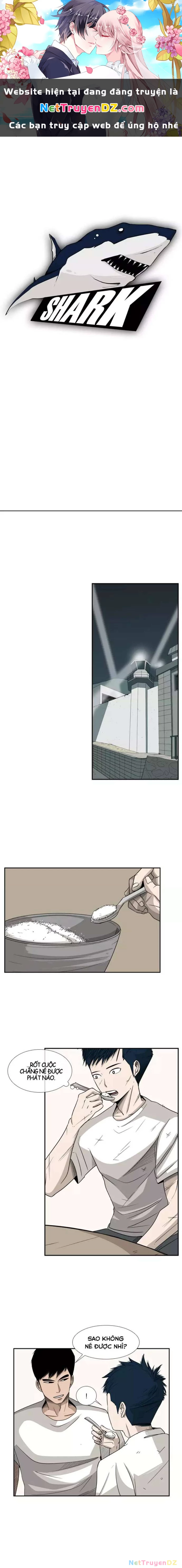 Shark - Cá Mập Chapter 17 - Next Chapter 18