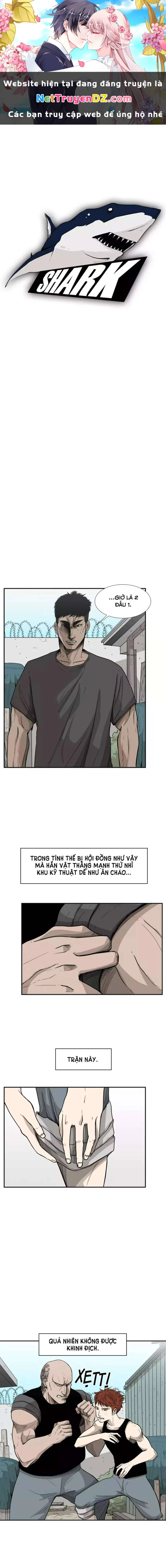 Shark - Cá Mập Chapter 22 - Next Chapter 23