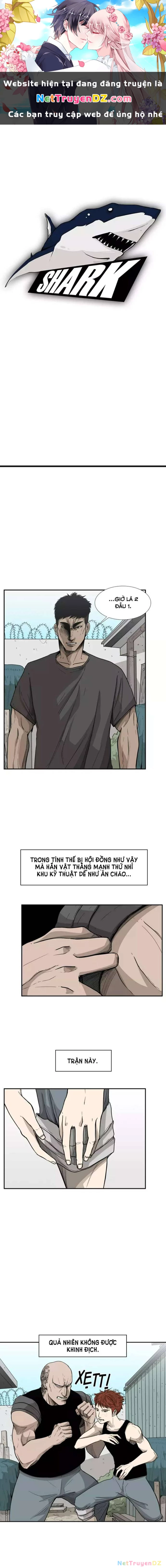 Shark - Cá Mập Chapter 23 - Next Chapter 24