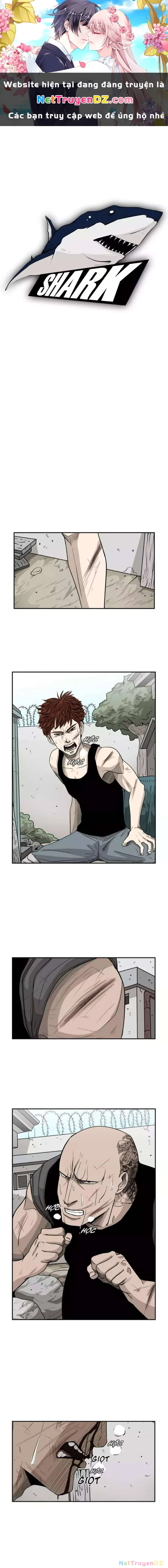 Shark - Cá Mập Chapter 24 - Next Chapter 25