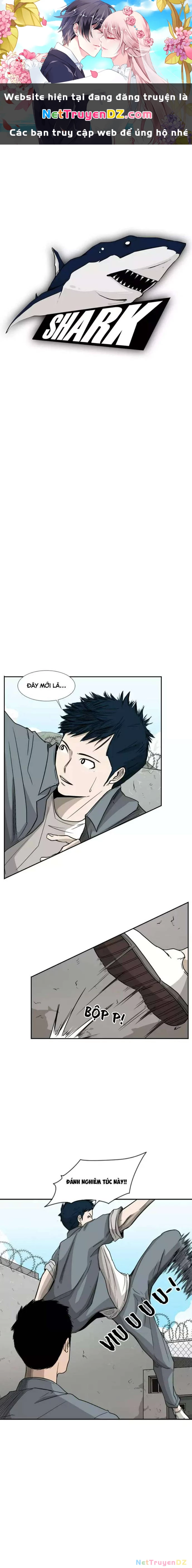 Shark - Cá Mập Chapter 29 - Next Chapter 30