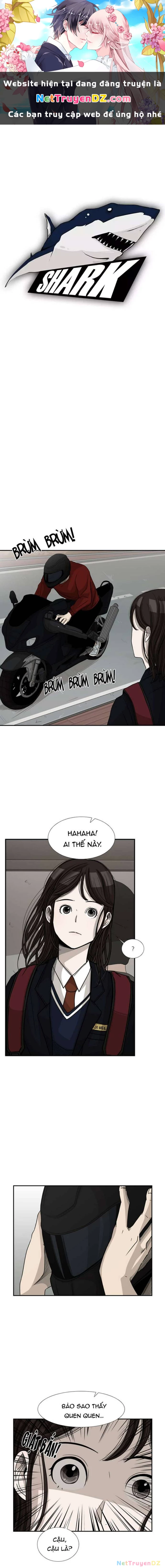 Shark - Cá Mập Chapter 32 - Next Chapter 33