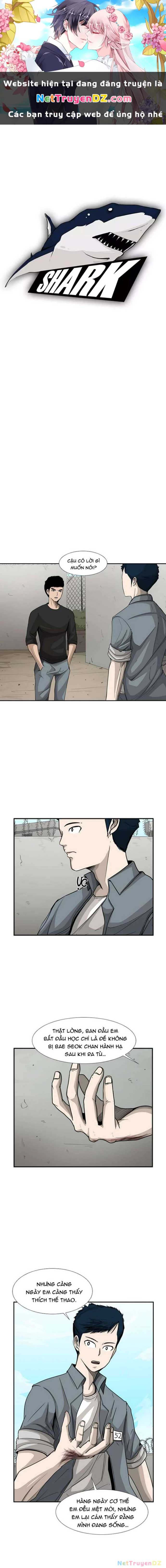 Shark - Cá Mập Chapter 33 - Next Chapter 34