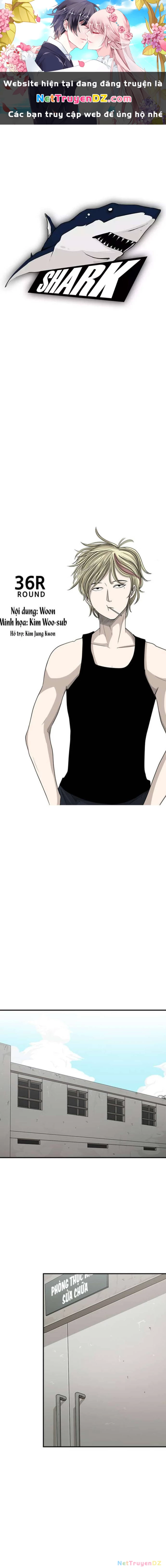 Shark - Cá Mập Chapter 36 - Next Chapter 37