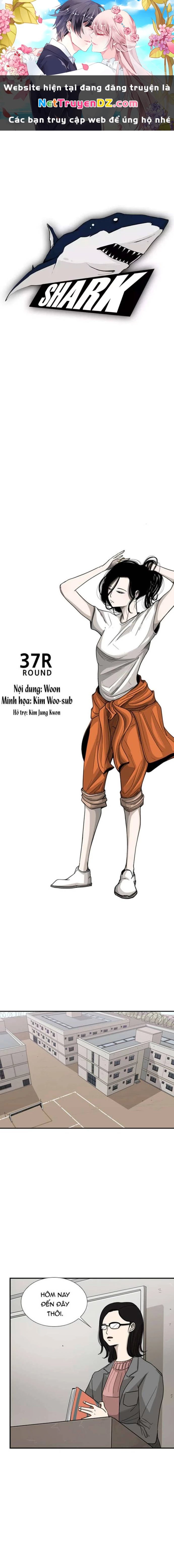 Shark - Cá Mập Chapter 37 - Next Chapter 38