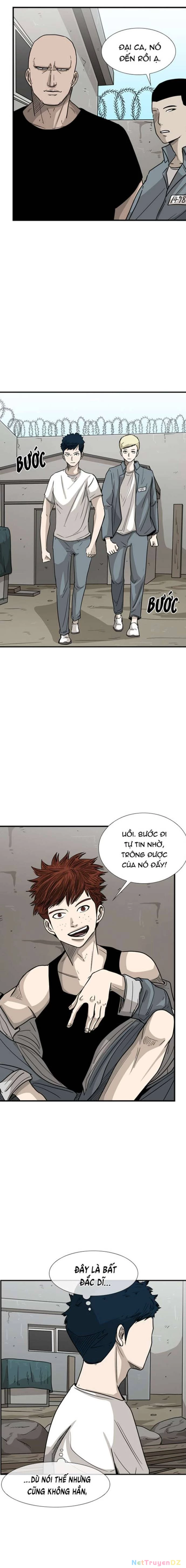 Shark - Cá Mập Chapter 39 - Trang 3