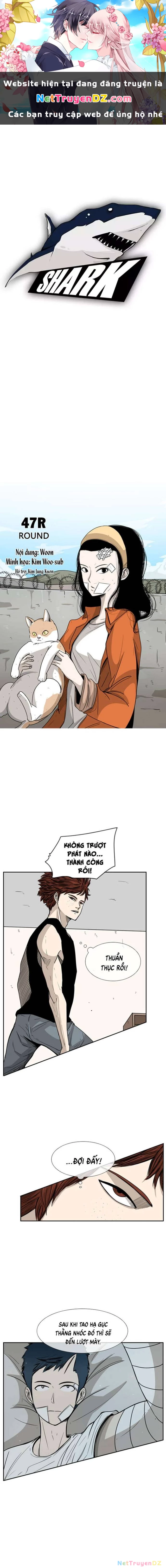 Shark - Cá Mập Chapter 47 - Next Chapter 48