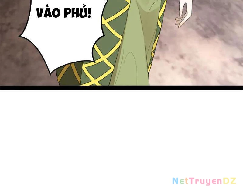 Chàng Rể Mạnh Nhất Lịch Sử Chapter 256 - Trang 4