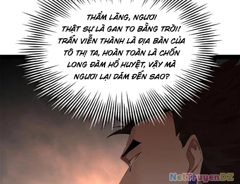 Chàng Rể Mạnh Nhất Lịch Sử Chapter 256 - Trang 4