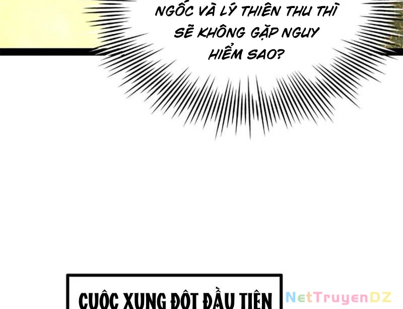 Chàng Rể Mạnh Nhất Lịch Sử Chapter 256 - Trang 4