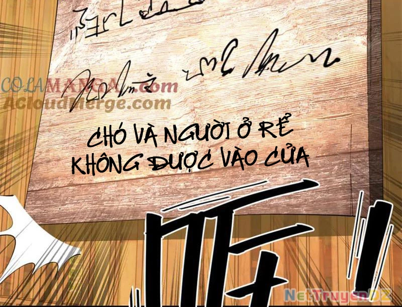 Chàng Rể Mạnh Nhất Lịch Sử Chapter 256 - Trang 4