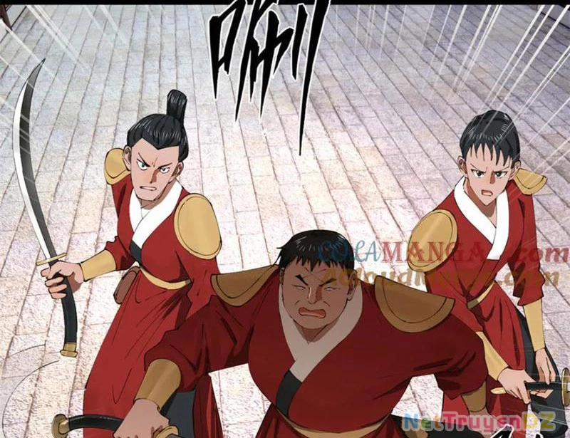 Chàng Rể Mạnh Nhất Lịch Sử Chapter 256 - Trang 4