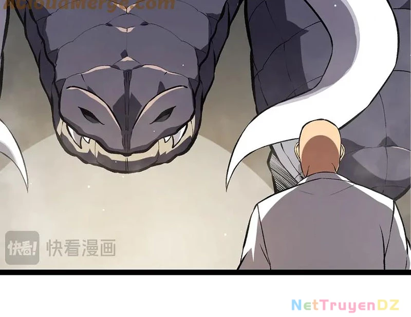 Chuyển Sinh Thành Liễu Đột Biến Chapter 313 - Trang 4