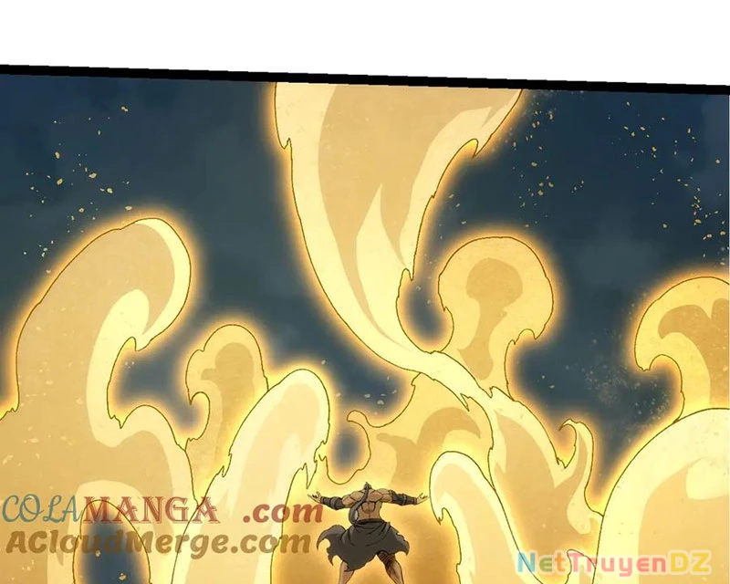 Chuyển Sinh Thành Liễu Đột Biến Chapter 313 - Trang 4