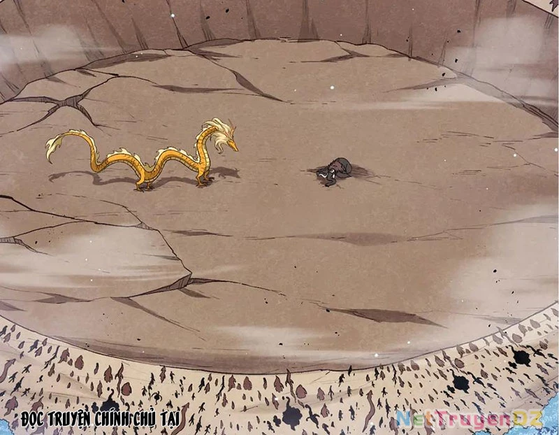 Chuyển Sinh Thành Liễu Đột Biến Chapter 313 - Trang 4