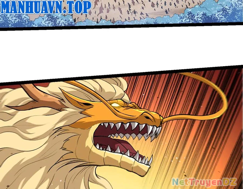 Chuyển Sinh Thành Liễu Đột Biến Chapter 313 - Trang 4