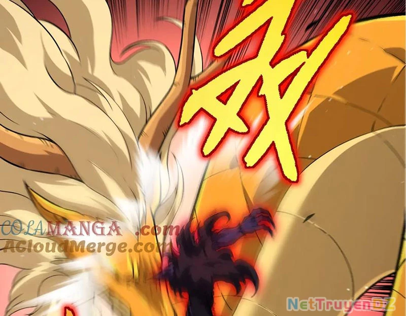 Chuyển Sinh Thành Liễu Đột Biến Chapter 313 - Trang 4