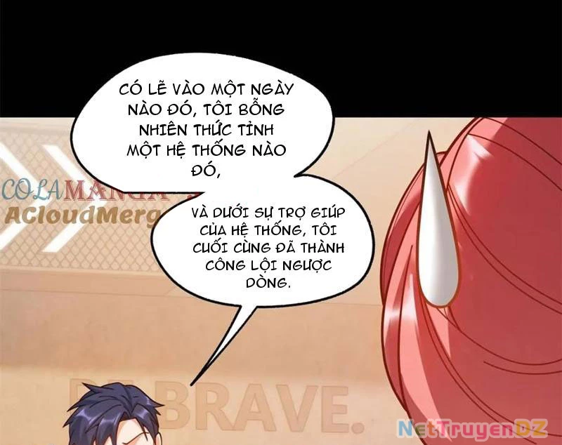 Trọng Sinh Không Làm Chạn Vương, Tôi Một Mình Nạp Game Thăng Cấp Chapter 179 - Trang 4