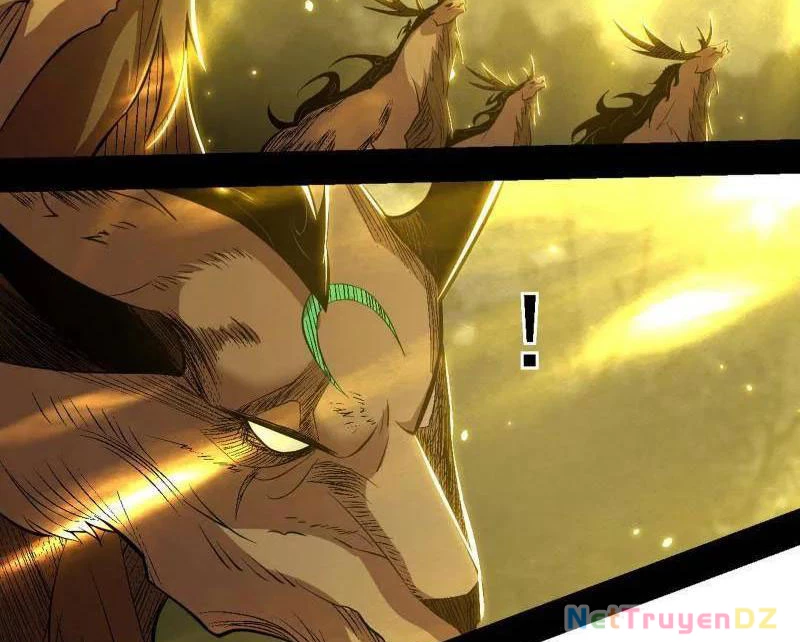 Ta Là Tà Đế Chapter 534 - Next Chapter 535