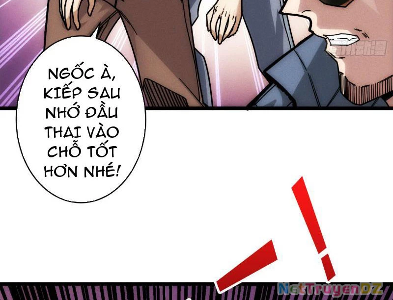 Tin Tức Của Toàn Tri Giả Chapter 2 - Trang 3