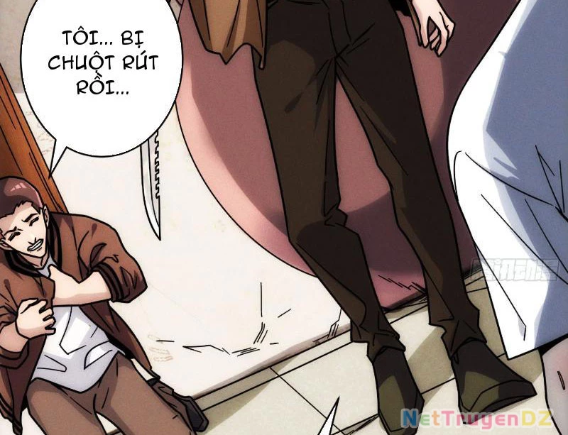 Tin Tức Của Toàn Tri Giả Chapter 2 - Trang 3