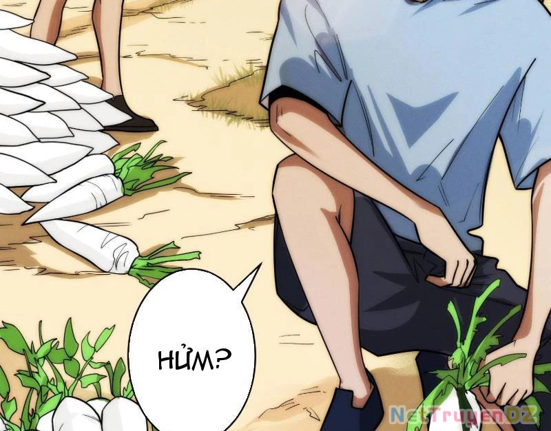 Tin Tức Của Toàn Tri Giả Chapter 3 - Trang 3